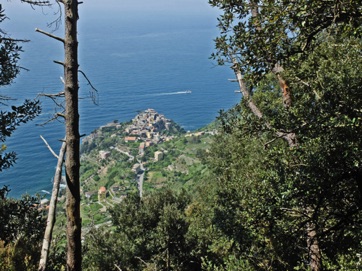 26.Hoch über Corniglia